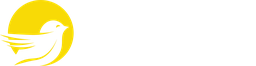 Kuoro